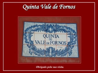 Obrigado pela sua visita. Quinta Vale de Fornos 