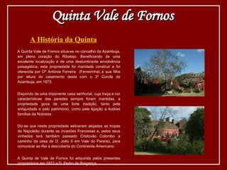 A História da Quinta A Quinta Vale de Fornos situa-se no concelho da Azambuja, em pleno coração do Ribatejo. Beneficiando de uma excelente localização e de uma deslumbrante envolvência paisagistica, esta propriedade foi mandada construir e foi oferecida por Dª Antónia Ferreira  (Ferreirinha) à sua filha por altura do casamento desta com o 3º Conde de Azambuja, em 1873. Dispondo de uma imponente casa senhorial, cuja traça e cor características das paredes sempre foram mantidas, a propriedade goza de uma forte tradição, tanto pela antiguidade e pelo património, como pela ligação a ilustres famílias da Nobreza . Diz-se que nesta propriedade estiveram alojadas as tropas de Napoleão durante as invasões Francesas e, pelos seus vinhedos terá também passado Cristovão Colombo a caminho da casa de D. João II em Vale do Paraíso, para comunicar ao Rei a descoberta do Continente Americano. A Quinta de Vale de Fornos foi adquirida pelos presentes proprietários em 1972 a D. Pedro de Bragança.  Quinta Vale de Fornos 