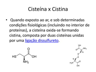 Cisteína x Cistina
• Quando exposto ao ar, e sob determinadas
condições fisiológicas (incluindo no interior de
proteínas), a cisteína oxida-se formando
cistina, composta por duas cisteínas unidas
por uma ligação dissulfureto.
 