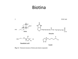 Biotina
 