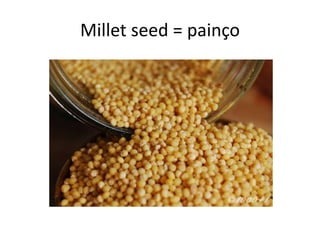 Millet seed = painço
 