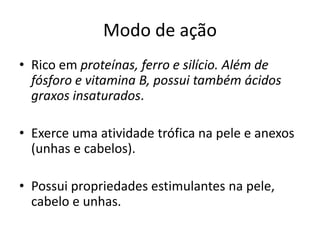 Modo de ação
• Rico em proteínas, ferro e silício. Além de
fósforo e vitamina B, possui também ácidos
graxos insaturados.
• Exerce uma atividade trófica na pele e anexos
(unhas e cabelos).
• Possui propriedades estimulantes na pele,
cabelo e unhas.
 