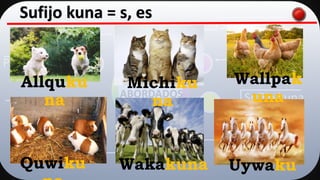 Saludos
Pronombres
Números
Sufijo posesivo
Sufijo kama
Colores
Sufijo kuna
S….
TEMAS
ABORDADOS
Sufijo kuna = s, es
Allquku
na
Michiku
na
Wallpak
una
Quwiku Wakakuna Uywaku
 