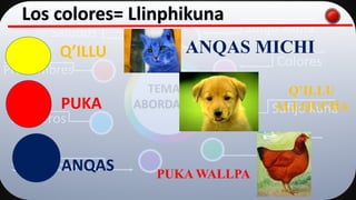 Saludos
Pronombres
Números
Sufijo posesivo
Sufijo kama
Colores
Sufijo kuna
S….
TEMAS
ABORDADOS
Los colores= Llinphikuna
ANQAS
PUKA
Q’ILLU
PUKA WALLPA
Q’ILLU
ALLQUCHA
ANQAS MICHI
 