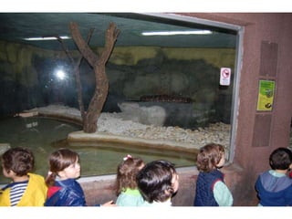 Quinta de santo inácio