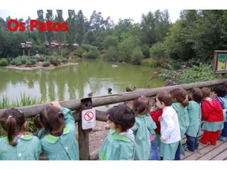 Quinta de santo inácio