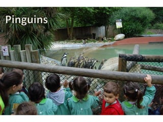 Quinta de santo inácio