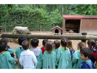 Quinta de santo inácio