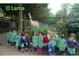 Quinta de santo inácio