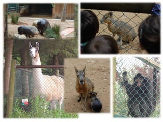 Quinta de santo inácio