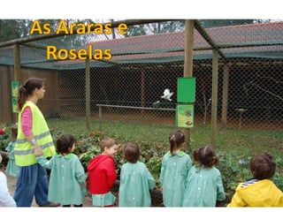 Quinta de santo inácio