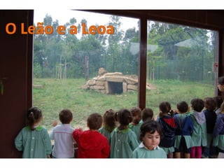 Quinta de santo inácio