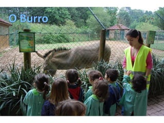 Quinta de santo inácio