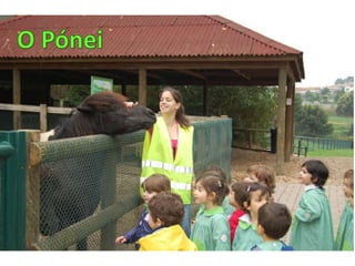 Quinta de santo inácio