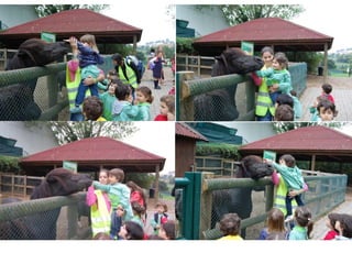 Quinta de santo inácio