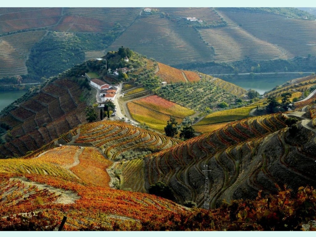 Douro - Outono 2011