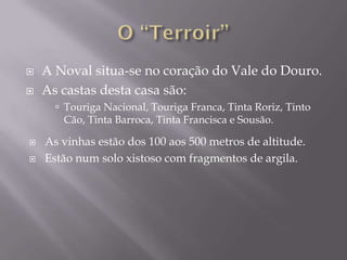    A Noval situa-se no coração do Vale do Douro.
   As castas desta casa são:
       Touriga Nacional, Touriga Franca, Tinta Roriz, Tinto
       Cão, Tinta Barroca, Tinta Francisca e Sousão.

   As vinhas estão dos 100 aos 500 metros de altitude.
   Estão num solo xistoso com fragmentos de argila.
 