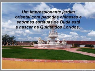 Um impressionante jardim oriental com pagodes chineses e enormes estátuas de Buda está a nascer na Quinta dos Loridos,  