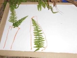 Quinta ecológica da moita