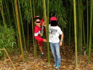 Quinta ecológica da moita