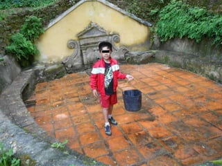 Quinta ecológica da moita