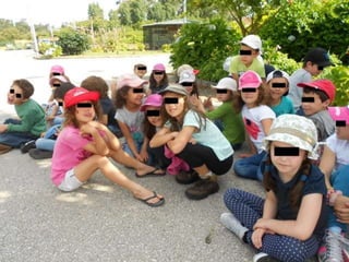 Quinta ecológica da moita