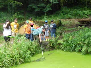 Quinta ecológica da moita