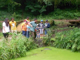 Quinta ecológica da moita