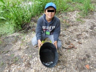 Quinta ecológica da moita