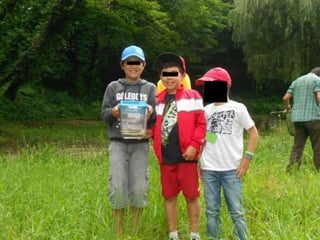 Quinta ecológica da moita