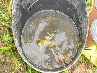 Quinta ecológica da moita