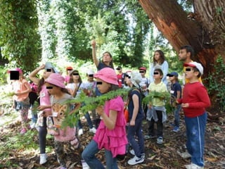 Quinta ecológica da moita