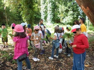 Quinta ecológica da moita