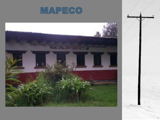 MAPECO