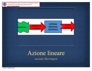 Quinta lezione 14.15