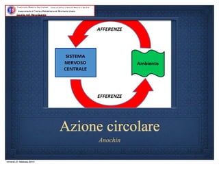 Quinta lezione 14.15