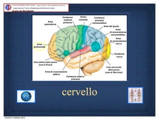 Quinta lezione 14.15