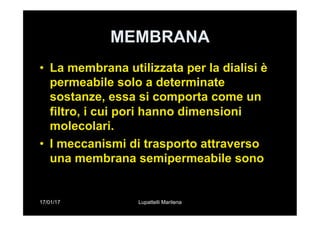 17/01/17 Lupattelli Marilena
MEMBRANA
•  La membrana utilizzata per la dialisi è
permeabile solo a determinate
sostanze, essa si comporta come un
filtro, i cui pori hanno dimensioni
molecolari.
•  I meccanismi di trasporto attraverso
una membrana semipermeabile sono
 