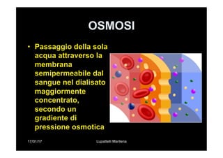 17/01/17 Lupattelli Marilena
OSMOSI
•  Passaggio della sola
acqua attraverso la
membrana
semipermeabile dal
sangue nel dialisato
maggiormente
concentrato,
secondo un
gradiente di
pressione osmotica
 