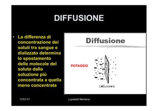 17/01/17 Lupattelli Marilena
DIFFUSIONE
•  La differenza di
concentrazione dei
soluti tra sangue e
dializzato determina
lo spostamento
delle molecole del
soluto dalla
soluzione più
concentrata a quella
meno concentrata
POTASSIO Potassio
 