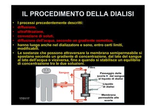 17/01/17 Lupattelli Marilena
IL PROCEDIMENTO DELLA DIALISI
•  I processi precedentemente descritti:
•  diffusione,
•  ultrafiltrazione,
•  convezione di soluti,
•  diffusione dell'acqua, secondo un gradiente osmotico,
•  hanno luogo anche nel dializzatore e sono, entro certi limiti,
modificabili.
•  Le sostanze che possono attraversare la membrana semipermeabile si
spostano secondo un gradiente di concentrazione, dal lato del sangue
al lato dell'acqua o viceversa, fino a quando si stabilisce un equilibrio
di concentrazione tra le due soluzioni.
 