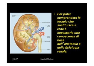 17/01/17 Lupattelli Marilena
•  Per poter
comprendere la
terapia che
sostituisce il
rene è
necessaria una
conoscenza di
base
dell’anatomia e
della fisiologia
renale.
 