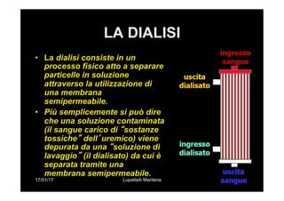 17/01/17 Lupattelli Marilena
LA DIALISI
•  La dialisi consiste in un
processo fisico atto a separare
particelle in soluzione
attraverso la utilizzazione di
una membrana
semipermeabile.
•  Più semplicemente si può dire
che una soluzione contaminata
(il sangue carico di “sostanze
tossiche” dell’uremico) viene
depurata da una “soluzione di
lavaggio” (il dialisato) da cui è
separata tramite una
membrana semipermeabile.
 