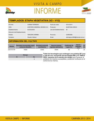 Agrotestigo-Maiz DEKALB-Campaña 1314-Informe V2V12-QUINTANA DIEGO RICARDO-Nº 8