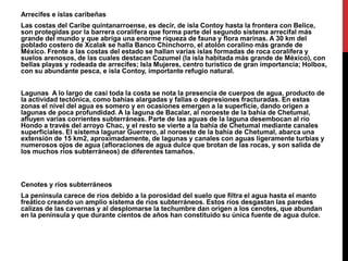 Arrecifes e islascaribeñasLas costas del Caribe quintanarroense, esdecir, de islaContoy hasta la frontera con Belice, son protegidaspor la barreracoralíferaque forma parte del segundosistemaarrecifalmásgrande del mundo y queabrigaunaenormeriqueza de fauna y flora marinas. A 30 km del pobladocostero de Xcalak se hallaBancoChinchorro, el atolóncoralinomásgrande de México. Frente a lascostas del estado se hallanvariasislasformadas de rocacoralífera y suelosarenosos, de lascualesdestacan Cozumel (la islahabitadamásgrande de México), con bellas playas y rodeada de arrecifes; Isla Mujeres, centroturístico de gran importancia; Holbox, con suabundantepesca, e islaContoy, importanterefugionatural.Lagunas A lo largo de casitoda la costa se nota la presencia de cuerpos de agua, producto de la actividadtectónica, comobahíasalargadas y fallas o depresionesfracturadas. En estaszonas el nivel del aguaessomero y en ocasionesemergen a la superficie, dandoorigen a lagunas de pocaprofundidad. A la laguna de Bacalar, al noroeste de la bahía de Chetumal, afluyenvariascorrientessubterráneas. Parte de lasaguas de la lagunadesembocan al río Hondo a través del arroyo Chac, y el resto se vierte a la bahía de Chetumalmediantecanalessuperficiales. El sistemalagunar Guerrero, al noroeste de la bahía de Chetumal, abarcaunaextensión de 15 km2, aproximadamente, de lagunas y canales con aguasligeramenteturbias y numerososojos de agua (afloraciones de aguadulcequebrotan de lasrocas, y son salida de los muchosríossubterráneos) de diferentestamaños.Cenotesy ríossubterráneosLa penínsulacarece de ríosdebido a la porosidad del sueloquefiltra el agua hasta el mantofreáticocreando un ampliosistema de ríossubterráneos. Estosríosdesgastanlasparedescalizas de lascavernas y al desplomarse la techumbredanorigen a los cenotes, queabundan en la península y quedurantecientos de añoshanconstituidosuúnicafuente de aguadulce.