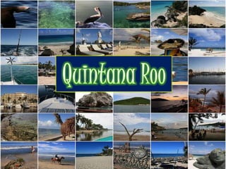 Quintana Roo  