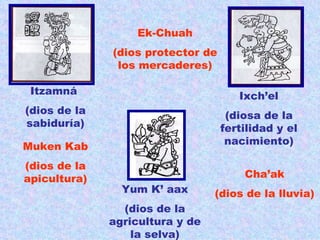 Yum K’ aax (dios de la agricultura y de la selva) Itzamná  (dios de la sabiduría) Ixch’el (diosa de la fertilidad y el nacimiento) Cha’ak (dios de la lluvia) Ek-Chuah (dios protector de los mercaderes) Muken Kab (dios de la apicultura) 