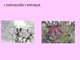 1. EXPOSICIÓN Y ENFOQUE.
 