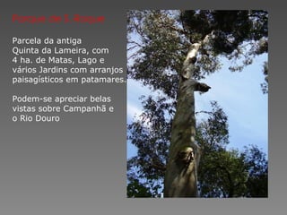 Parque de S. Roque Parcela da antiga Quinta da Lameira, com 4 ha. de Matas, Lago e vários Jardins com arranjos paisagísticos em patamares. Podem-se apreciar belas vistas sobre Campanhã e o Rio Douro 