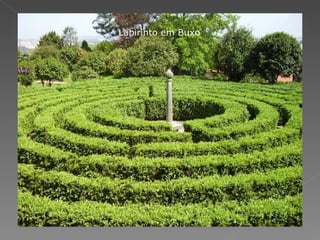 Labirinto em Buxo 